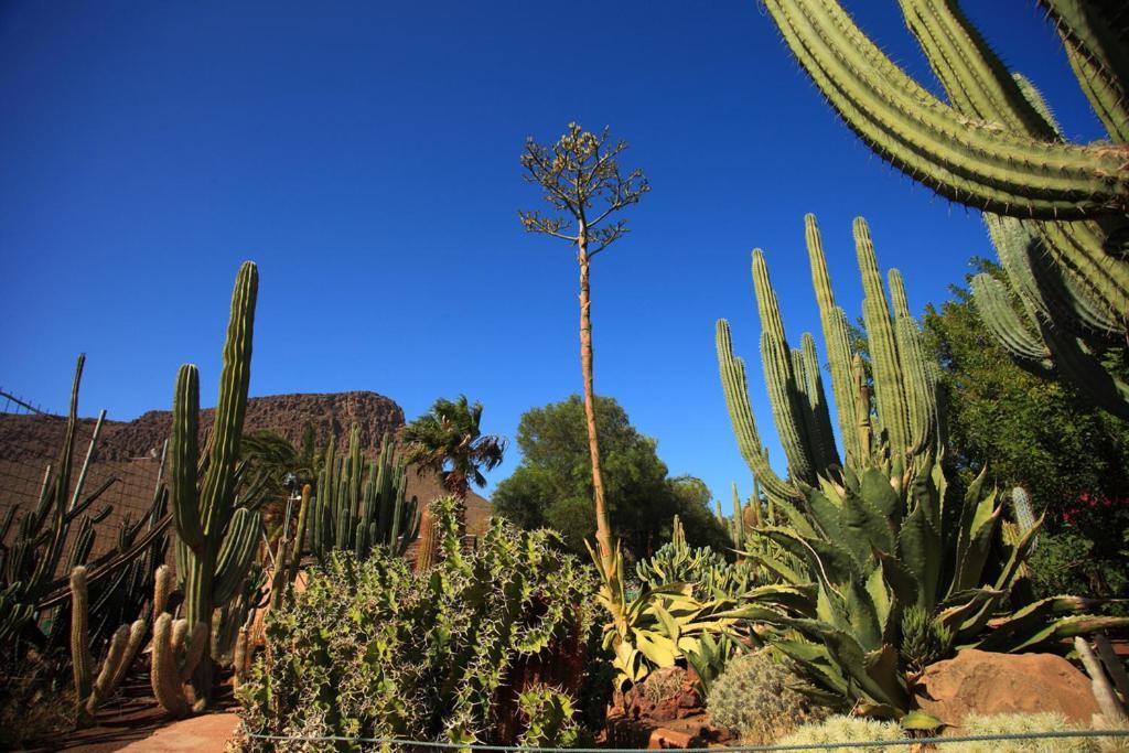 Sunny Bungalow With Garden #1 Maspalomas  Exterior photo